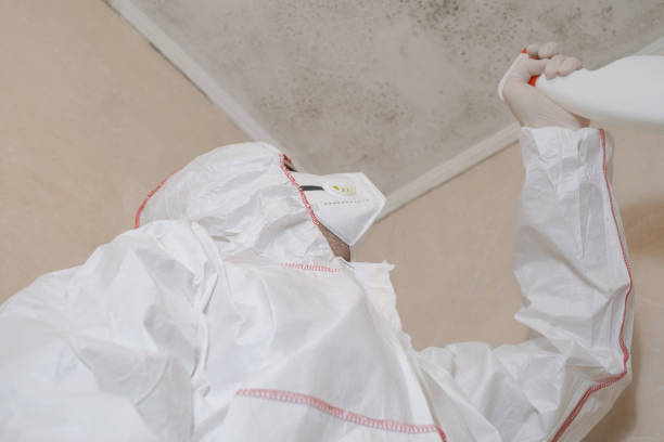 Mold Removal and Inspection in Green Level, NC