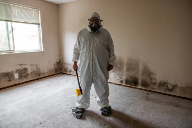 Best Attic Mold Removal  in Green Level, NC